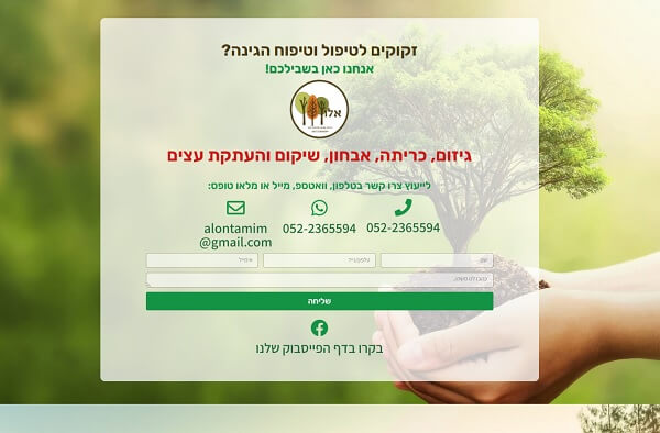 תמונה מהגלריה