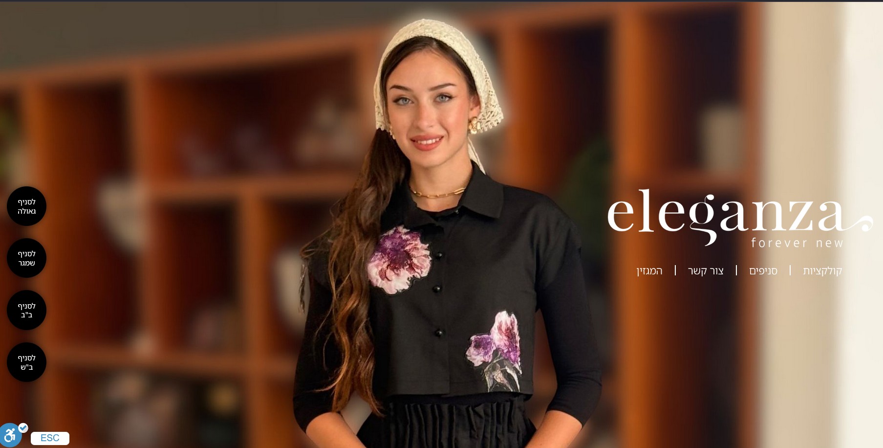 תמונה מהגלריה